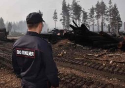 В МВД Марий Эл опасаются фактов мародёрства в зоне лесного пожара